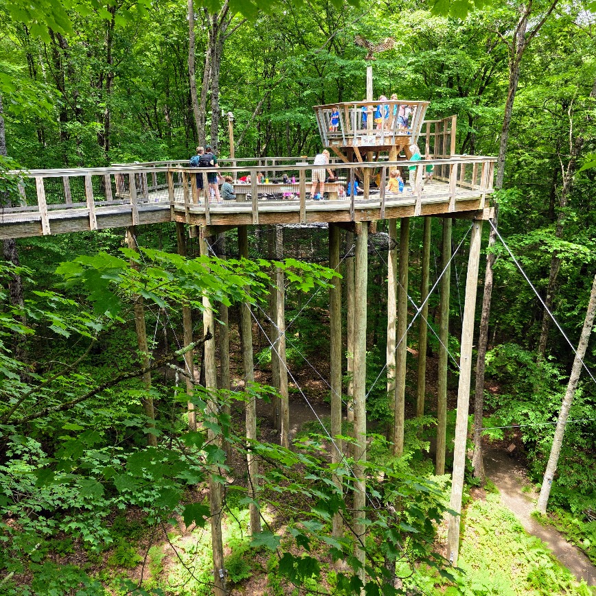 Students travel the tree top walk at VINS.
